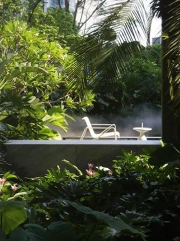 Biophilic-1.webp