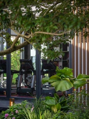 Biophilic-3.webp